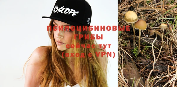 ГАЛЛЮЦИНОГЕННЫЕ ГРИБЫ Новодвинск