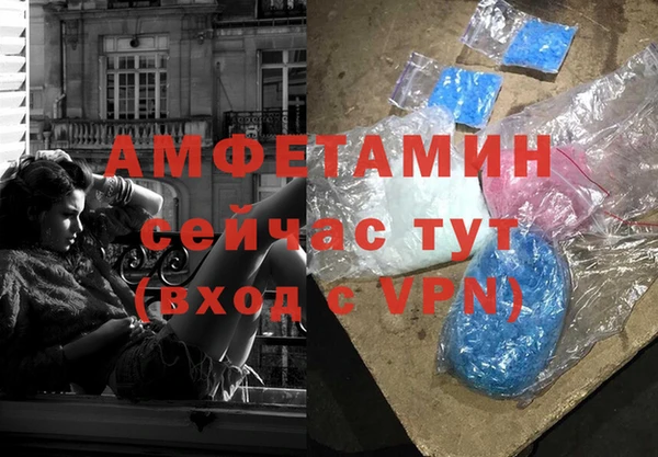 стафф Алексин
