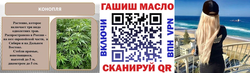 Дистиллят ТГК THC oil Прохладный