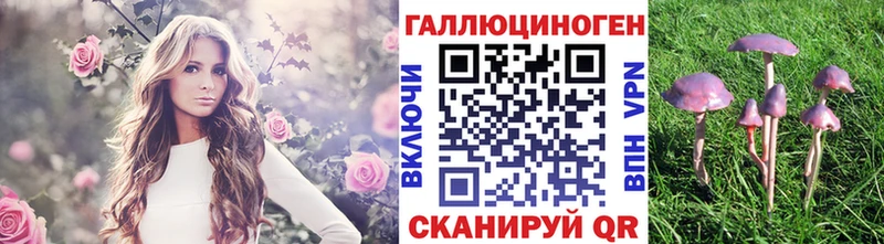 Псилоцибиновые грибы GOLDEN TEACHER  Прохладный 